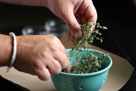 Sušené byliny (bazalka a oregano)