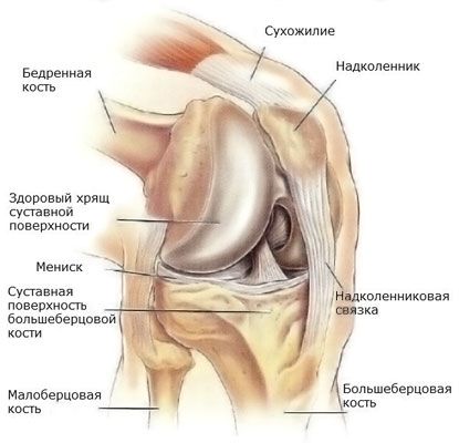 Meniskus kolenného kĺbu