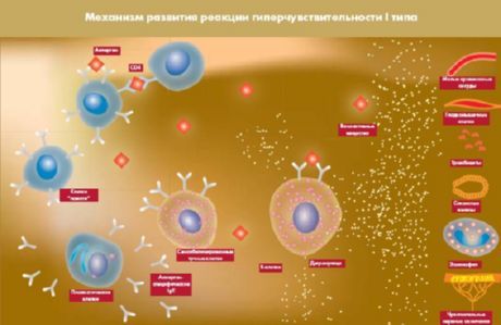 Otvorený proteín, ktorý bude novým cieľom pre diabetes