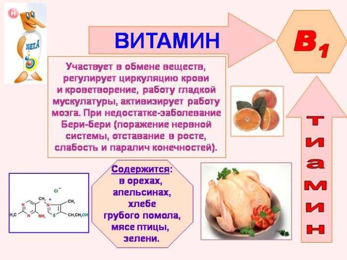 Vlastnosti vitamínu B1